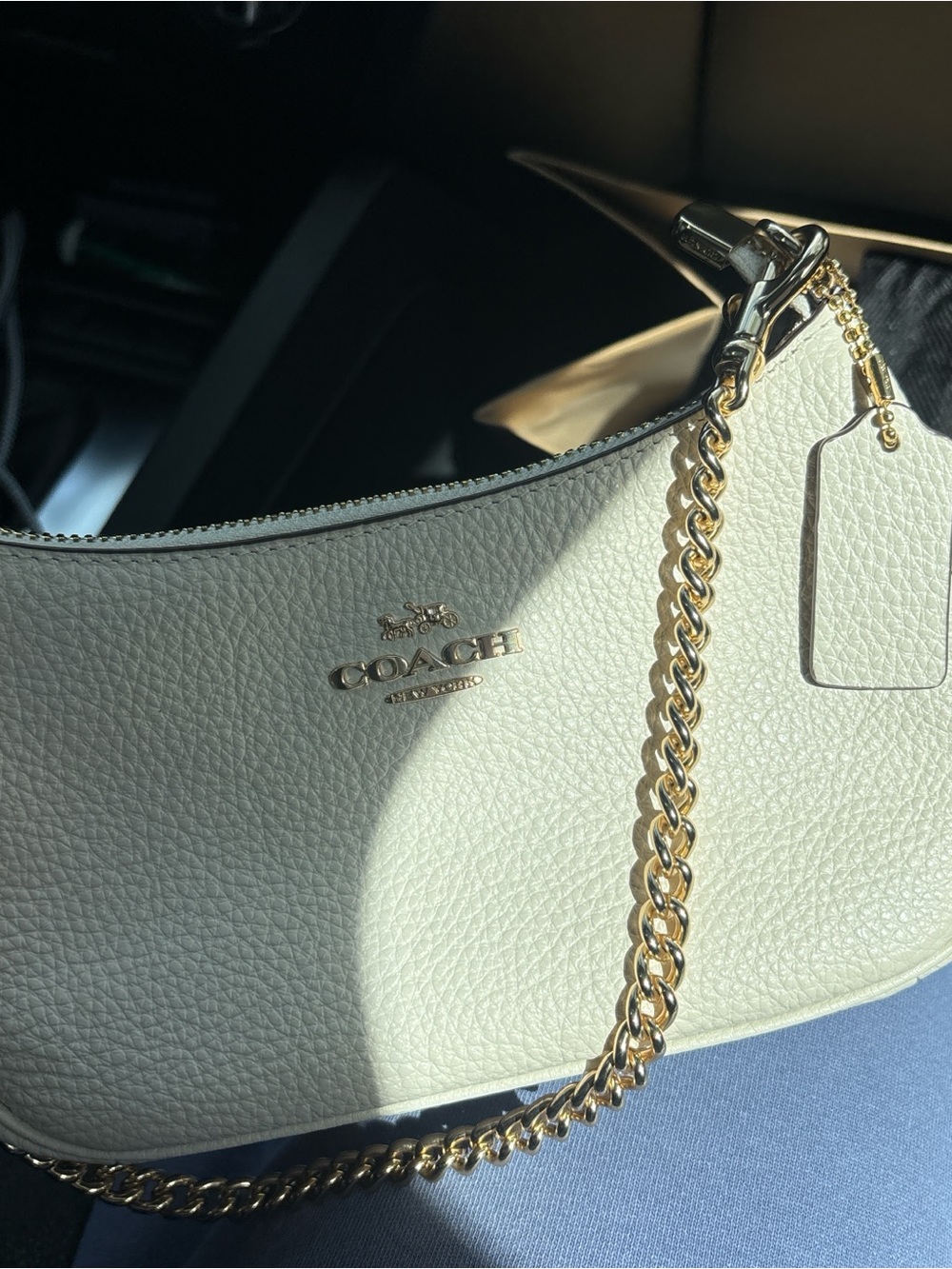 Coach mini teri